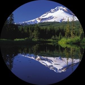 Meet your Posher, Kalani